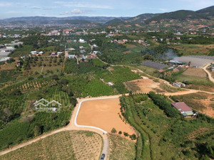 đất phân lô siêu hiếm nhà đầu tư đang săn lùng diện tích 2666m2 bám hơn 100m mặt tiền 