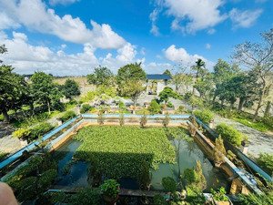 bán nhà vườn nghỉ dưỡng kết hợp nhà yến nghĩa thương -tư nghĩa | gần 1.800m² đất ở