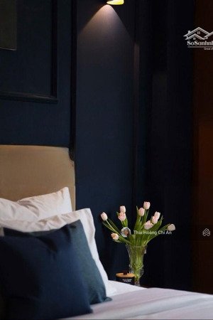 khách sạn lý tự trọng q1 - sau mặt tiền - dòng tiền cao - hàng hiếm trung tâm - 66m2 - 34.2 tỷ