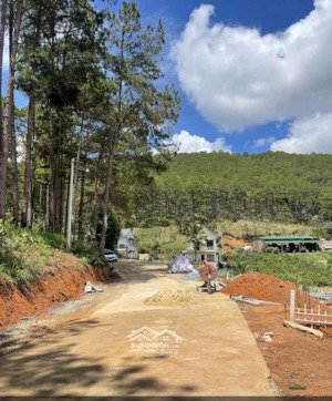 đất ven đà lạt sát rừng thông gần chợ hiếm có ! 690m2 chỉ 1.8 tỷ 