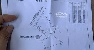 bán đất mặt tiền đường liên tỉnh