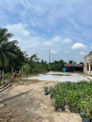 đất thổ mt tl 833 lạc tấn, tân trụ, long an dt 8x42m, hậu 12m, thổ 100%. lh phát