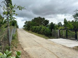 chính chủ cần bán hơn 4 sào đất vườn tại xã mỹ sơn, nam khánh hoà