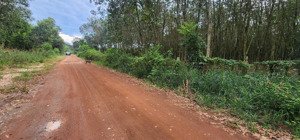 đất sát mỹ phước tân vạn. dt: 21433m2