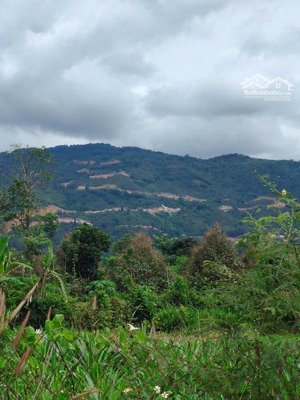 #đất view núi xuân thọ, 600 triệu, 150m2, mặt tiền 5m, đường vào 5m, đồng nai