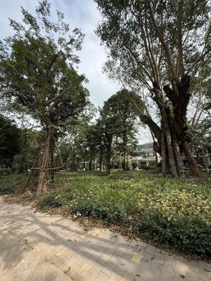 bán biệt thự lõi mimosa ecopark full đồ