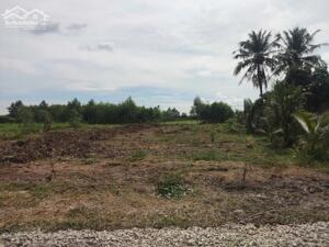 Đất Truông Mít 200 Triệu – Trả Theo Tiến Độ, Nhẹ Vốn Ban Đầu