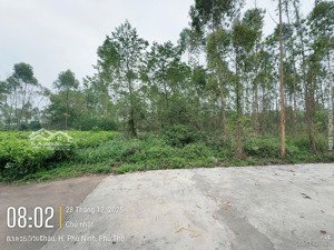 chính chủ bán 200m2 đất khu đấu giá khu 10, tt phong châu, liền khu đô thị sinh thái 100ha 1,1 tỷ