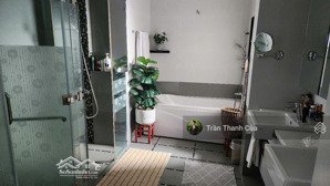 cho thuê penthouse park 6. 3pn đầy đủ nội thất. 180m2. giá 120 triệu net