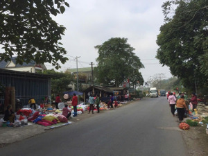 chỉ 8xx triệu sở hữu lô đất dt 231m²/100m² thổ cư mặt ql12b kinh doanh tốt kim bôi