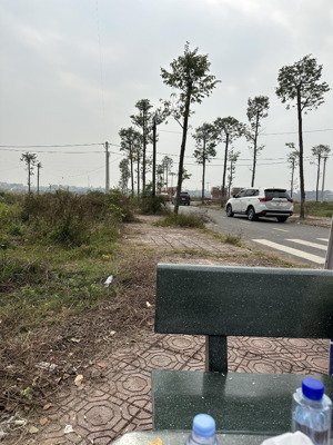 chính chủ bán đất trúng đấu giá phiên 29/12/25 khu nại châu, chu phan, mê linh đt 