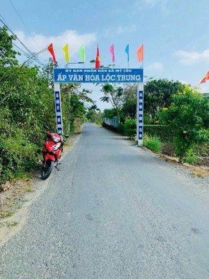 bán đất đường xe hơi 112,5m2 xã mỹ lộc, cần giuộc, long an, 870 triệu, shr 