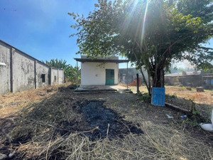 chính chủ gửi bán 519m2 đất tân hưng giá rẻ! 