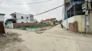 Duy nhất 1 lô Dương Quan anh chủ gử.i bá.n lấy tiền đi buôn Đào Tết