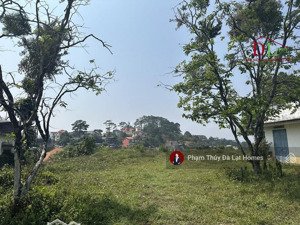 bán khu đất hơn 5000m2 lê văn tám đà lạt cách hồ xuân hương 1,5km