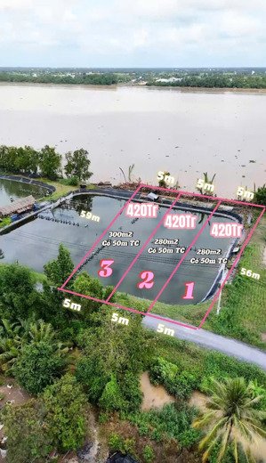 đất vườn view sông tiền giang 300m² có thổ cư, bao san lấp đẹp, giá 420 triệu