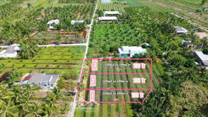 đất thổ cư 115m² giá 180 triệu cù lao tân phú đông, ô tô vào tận nơi