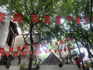 villa đẹp mặt tiền nhất chi mai tân bình dt 343m2 bề ngang 12m, vip kinh doanh & ở, shr, chỉ 65 tỷ