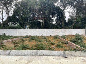bán lô đất 60m2 phúc tiến bình yên - rẻ giật mình - 2,x tỷ, x chưa đi mầm non