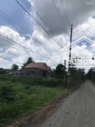 bán đất tại bàu chinh, châu đức, bà rịa vũng tàu, 2,6 tỷ, 1132,5 m2 uy tín, chính chủ