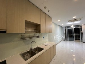 cho thuê căn hộ 1pn ntcb thuộc tòa park 7 view sông saigon