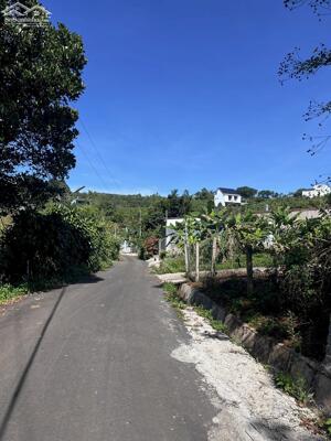 BÁN ĐẤT HẺM 123 MẠC ĐĨNH CHI, PHƯỜNG 2, BẢO LỘC - SẴN THỔ CƯ GIÁ 1 TỶ 750