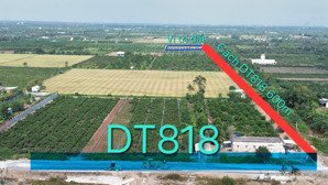 dt 12x83,7m đang trồng dừa và cho thu hoạch