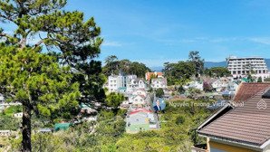 16 tỷ + 733,2m² biệt thự nghỉ dưỡng có sân vườn thông cao cấp khuôn viên rộng, sân vườn thoáng đãng