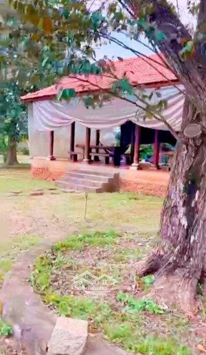 view nhà vườn gần đường mỹ xuân - ngãi giao, xã láng lớn, châu đức,brvt. giá 6,3 tỷ, 4488 m2