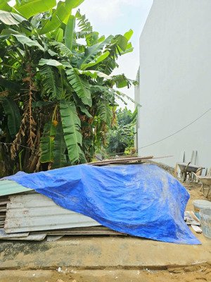 đất nền 61m2 giáp nguyễn xiển, đường oto 6m, shr xây dựng tự do, chỉ 3 tỷ nhỉnh