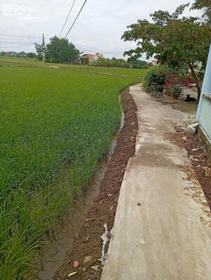 Đất vườn giá rẻ 500m2 mt đường xe máy Phước Đông chỉ 650tr