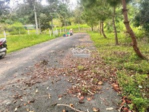 1000m2 lô đất giá rẻ giáp suối không khí mát mẻ đầu tư & nghỉ dưỡng đều hợp