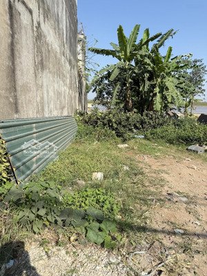 đất đẹp xã võng la - đông anh,ô tô ngủ trong đất,diện tích 58m - 6,05 tỷ