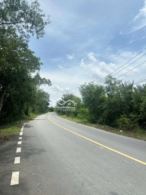 bán 4000m2 đất mặt tiền nguyễn văn tạo, hiệp phước, nhà bè. giá 5,5tr/m2.