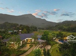 chính chủ định cư nước ngoài sang nhượng lại villa tại ba vì