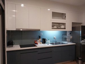 cho thuê cc 57m2, 23 triệu, 1pn + 1wc tại vinhomes metropolis, liễu giai, q.ba đình, hn