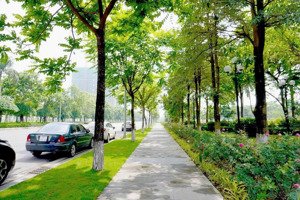 shophouse 2 mặt tiền kinh doanh, có hầm, gần bãi đỗ xe, vay ls 0% ân hạn nợ gốc