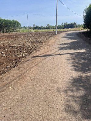 bán 4 lô f0 đất 2 mặt tiền đường nhựa 178m2 có 80m2 thổ cư giá chỉ 550tr/sổ ngay sát khu lan anh 10