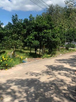 cần sang nhượng lại lô đất bên cạnh vườn mít