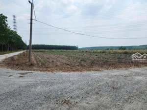 bán đất nền lô góc hơn 500m2 tại minh thành, chơn thành chính chủ