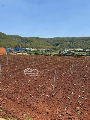 bán gấp đất thổ cư đơn dương gần quốc lộ 138m² giá 699 triệu