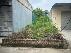 chủ cắt lỗ lô 81m chi đông. chỉ 4ty550tr