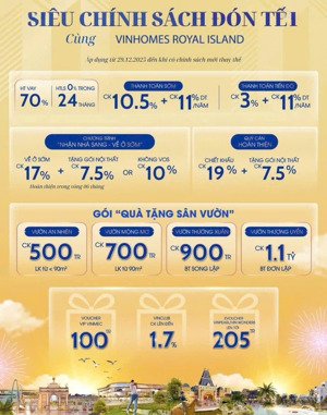 siêu chính sách vinhome royal island đón tết lên tới hơn 40%