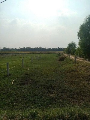 tôi chính chủ cần bán lô đất đức huệ long an