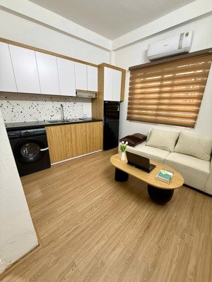 cho thuê chung cư mini view đẹp tại đào tấn, 6,6 triệu, 35 m2