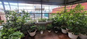 cho thuê nhà riêng ngõ 509 phố vũ tông phan, khương đình, thanh xuân, hn