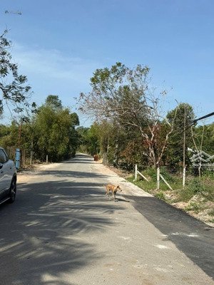 bán đất an điền gần ngã 3 chú lường cty đông, 5x28 tc 100m2 giá 1,tỷ 250 triệu đt nga