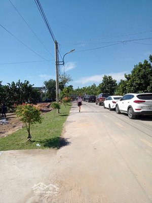 mua đất tặng vườn bưởi có thu nhập hàng năm, sổ tphcm, đường oto, điện ba pha, dân cư có sẵn