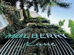 Cần bán căn 3 ngủ MULBERRY LANE - nhà đẹp ban công đông nam