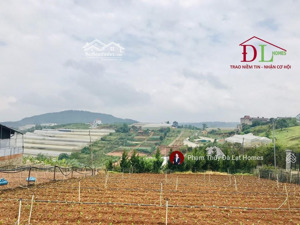 bán khu đất 6 sào có thổ cư khu nghỉ dưỡng măng lin đà lạt chỉ 3,3tr/m2